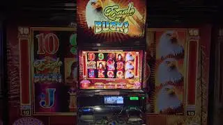 Eagle Bucks and Mustang Money 2 Bonus, Handpay #slot #casino #lasvegas #jackpot