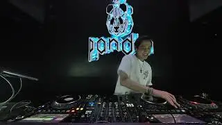 PANDA LIVE PERFORMANCE AT MONKEY KING