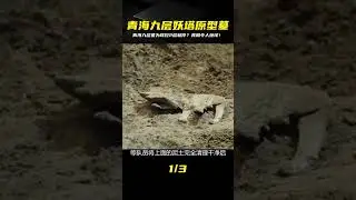 青海九層妖塔原型墓，金銀珠寶價值連城，為何只挖兩層便草草停止 #古董 #開棺 #古墓 #考古發現 #考古