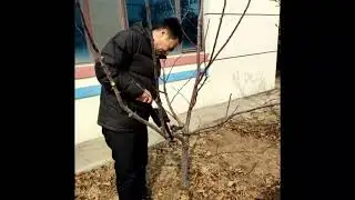 Arbor Day#pipemaking #pipelining preinsulated pipe device#shrinksleeves #3LPE Epoxy Coating Line