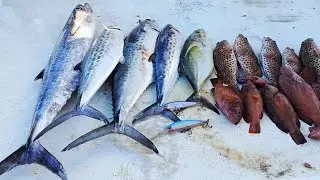 FIRST FISHING TRIP OF 2026 HOBIE CAT TROUPE