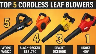 TOP 5 Best Budget Leaf Blowers