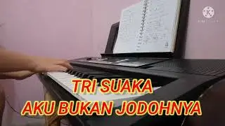 AKU BUKAN JODOHNYA-Tri suaka||Cover
