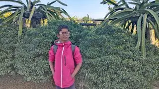 Chakaria Taekwondo School 