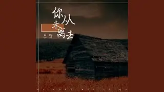 你从未离去 (伴奏)