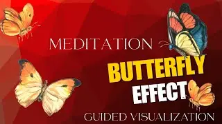 Butterfly Effect Guided Visualization| One Small Shift Changes Your Entire Life