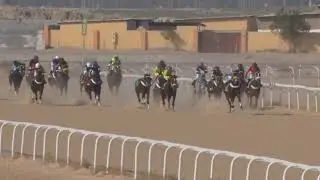 ميدان الفروسية بالأحساء لعام ١٤٤٦هـ حفل (11) شوط الثاني المركز الأول (البحر المتلاطم)