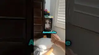 Her Annabelle Doll Started Singing (@kirby_j)