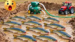 Catch fish using mini diesel engine water pump for fish in pond | fishing exciting | diy tractor
