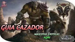 ✅#Warcraft | Руководство охотника | экзотические домашние животные | здесь