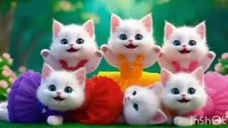 kittens funny dance l cute cat​funny dance  #cartoon​ #funny​  #youtubeshorts​ #catvideos​ #ai