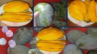 تحويل المانجو الخضراء الصلبه إلى مانجو صفراء مستويه بأسهل طريقه وبأقل وقت👌