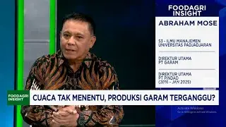 Demi Swasembada,  PT Garam Pakai Teknologi MVR - Perluas Tambak