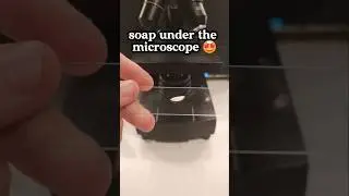 microscopic observation of a piece of soap #microscope #science #experiment #vortex_sci