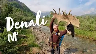 Backpacking Denali National Park Backcountry - Alaska 2022