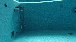 Skaging Dizings Diving Beetle