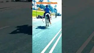 Devka Beach daman | #daman #shortvideo #travel #devkabeachdaman #today #shorts #trendingshorts