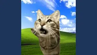 Windows XP Installation Music (meowsynth Remix)