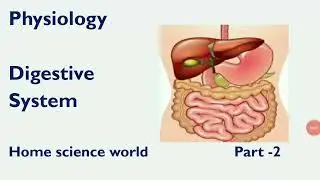 #Homescience#Physiology#DigestiveSyestem#AllHomescienceExam's