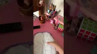 Meu estojo da Kipling 100 pens