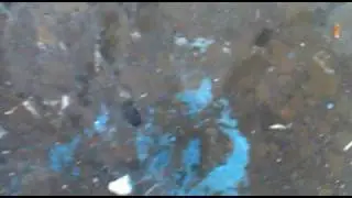 01082010015