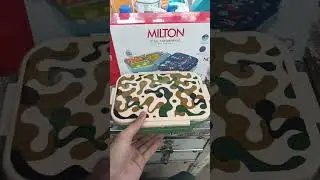 Milton lunch fun feast 3
