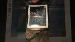 Taurus Diamond Painting 8/25 session 1