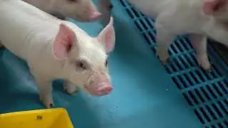 Ag Society Website Clip