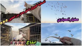 شتريت طير عجيب😳😳بعت نص الطيور❤️تصفيه نفس ما طلبتوو😭😭