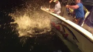 TUNA FISHING at BP THUNDERHORSE.. FAUX PAS RODEO 2013 Venice, LA,  HD