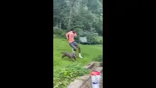 Guy Chased by His Friend's Dog as He Panics and Jumps into Pool