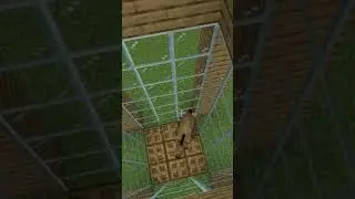 How Strong Are Minecraft Horses? (Anvil Test!)  #minecraft #shorts #viral #macforge  #gaming