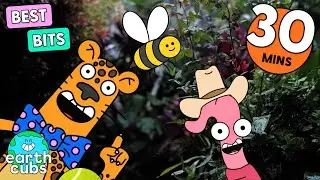 Mind Blowing Animal Facts! 🐝 | Earth Cubs
