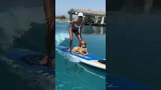 Is This Dog The Most Relaxed Paddle Boarder You've Ever Seen?