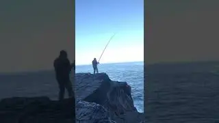 Pescaria na Vila do Bispo