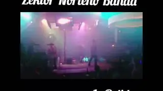 Zektor norte&ntilde;o banda