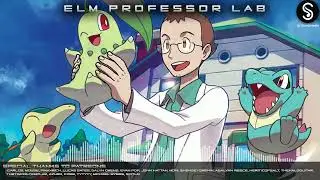 Pok&eacute;mon Elm Laboratory ➤ Pok&eacute;mon HGSS &bull; Arrangement.