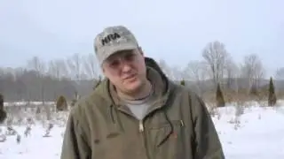 Fertilizing your White Pines