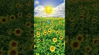 Singin' in the Rain: A Catchy Tune About Weather! #shorts
