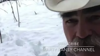 The Raney Family Homestead: A Wildlife Walkabout