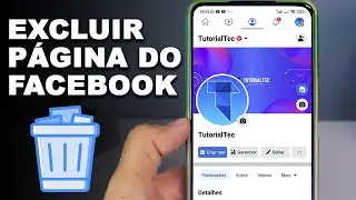 COMO EXCLUIR UMA P&Aacute;GINA NO FACEBOOK