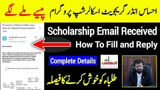 HEC ehsaas undergraduate scholarship program email receive how fill this email? | HEC News Today