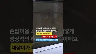 집사들이 더 좋은걸요...ㅎ#레블라이저 #호읍기질환#대장이