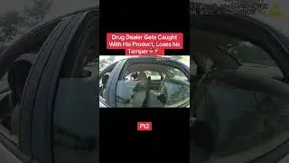 Suspicion to Seizure: Armed Drug Stop Leads to Gun Recovery After K9 Alert 👮&zwj;♂️🚨  #police #shorts