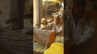 Cutting a Log with( BANDSAW)Saw Blade | Wood #woodworkingusa #shorts