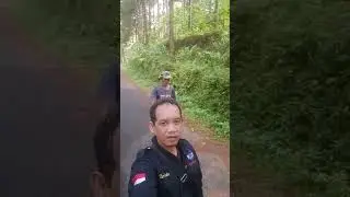 Alas Pinus Petaunan Semedo #wisata