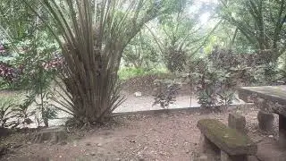 1MV - veranda garden view
