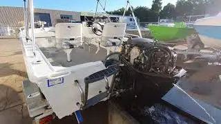 Quintrex 435 hornet