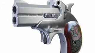 Bond Arms USA Defender .45 Colt Pistol