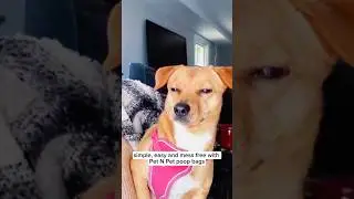 Thicker, Fresher, Smarter 💩✨ | Pet N Pet Poop Bags Review